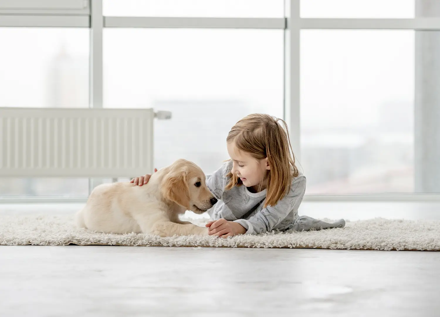 seguros para mascotas