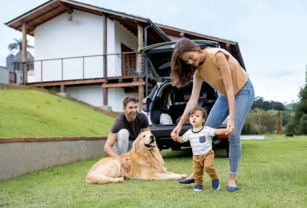 Seguro de perros