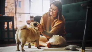 seguro para mascotas Adeslas